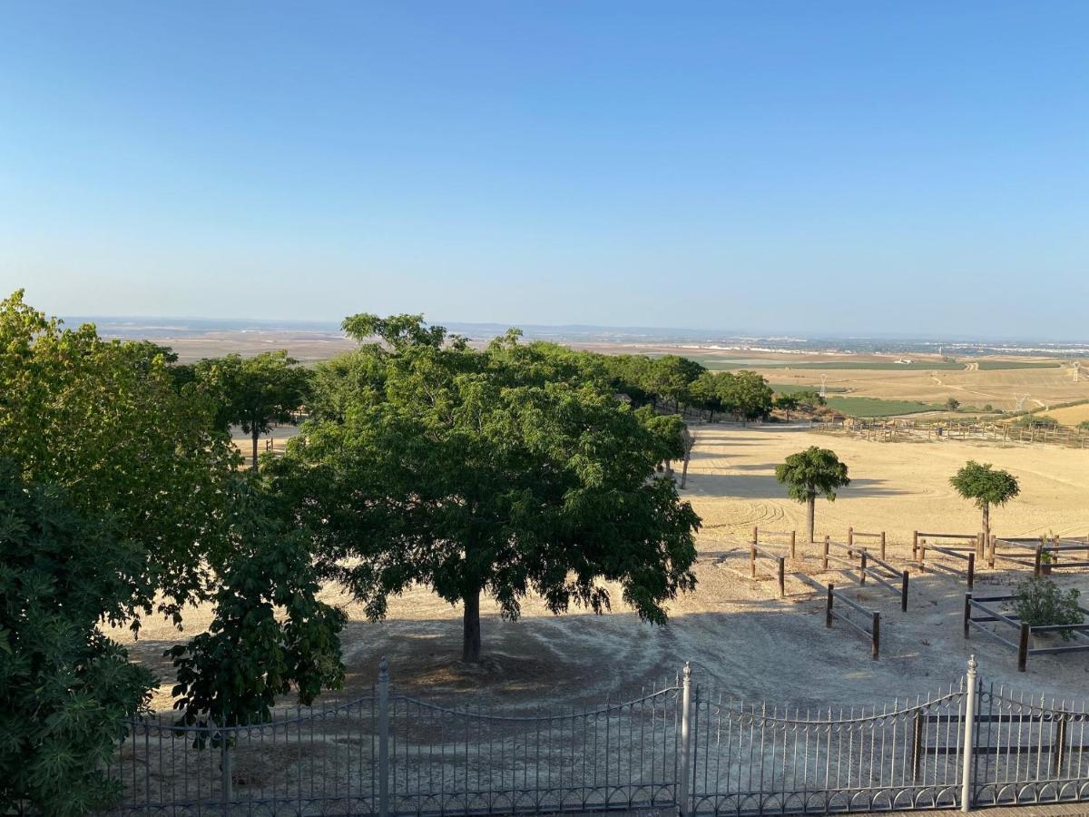 Sevilla Saltera Casa Rural Cerca Centro De Sevilla Familiar - Trabajo - Wifi Salteras 外观 照片