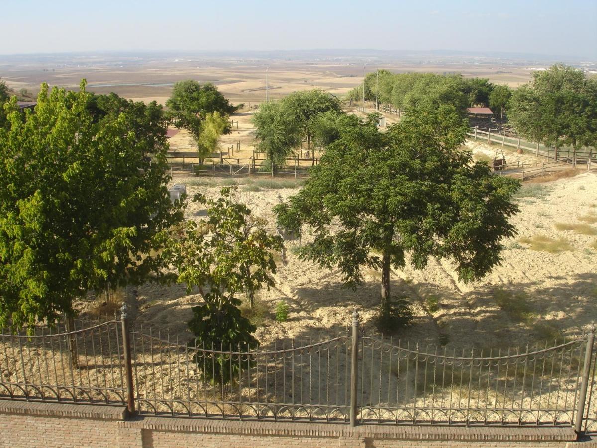 Sevilla Saltera Casa Rural Cerca Centro De Sevilla Familiar - Trabajo - Wifi Salteras 外观 照片